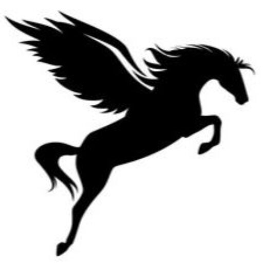https://dphorse.com.au/wp-content/uploads/2025/12/cropped-Pegusus-image-2.jpg
